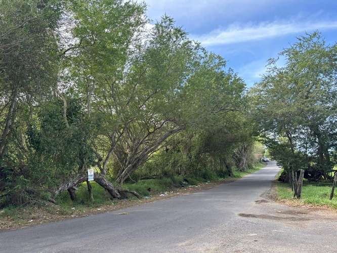  3 TERRENOS EN VENTA – CARRIZALES, HATILLO, PUERTO RICO     Más de 6 cuerdas de terreno en excelente ubicación.  O - Imagen 12