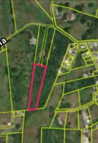  3 TERRENOS EN VENTA – CARRIZALES, HATILLO, PUERTO RICO     Más de 6 cuerdas de terreno en excelente ubicación.  O - Imagen 6