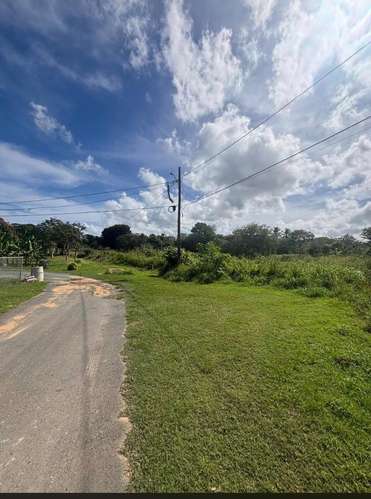  3 TERRENOS EN VENTA – CARRIZALES, HATILLO, PUERTO RICO     Más de 6 cuerdas de terreno en excelente ubicación.  O - Imagen 5