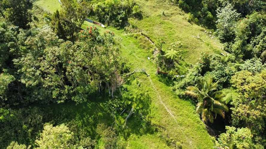 FINCA EN VENTA EN CAGUAS, 6.5101 CUERDAS! - Imagen 5