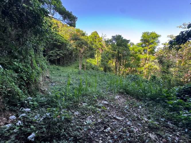 FINCA EN VENTA EN CAGUAS, 6.5101 CUERDAS! - Imagen 10