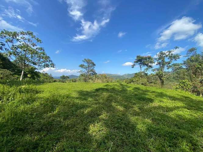 FINCA EN VENTA EN CAGUAS, 6.5101 CUERDAS!