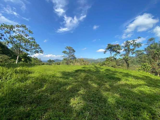 FINCA EN VENTA EN CAGUAS, 6.5101 CUERDAS! - Imagen 12