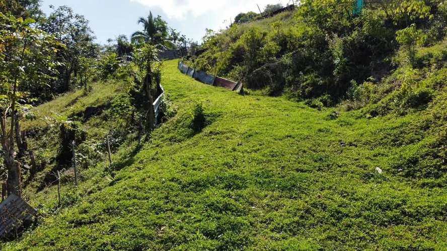 FINCA EN VENTA EN CAGUAS, 6.5101 CUERDAS! - Imagen 6