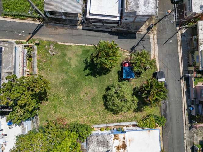 Calle Luis Muñoz Rivera, Terreno en Fajardo - Imagen 15