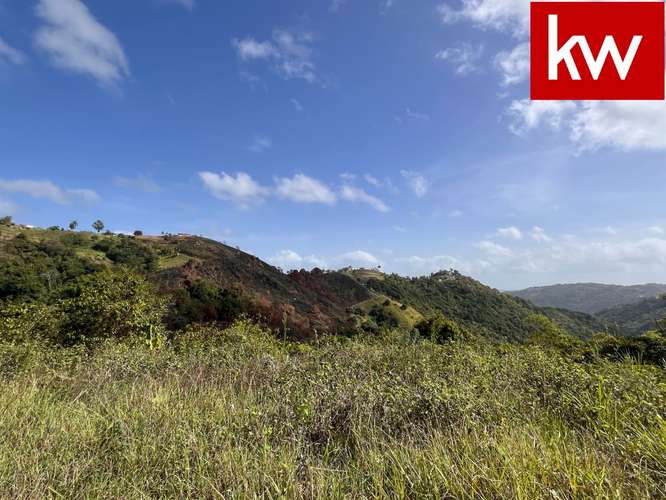 Bo. Perchas, Terreno en Morovis