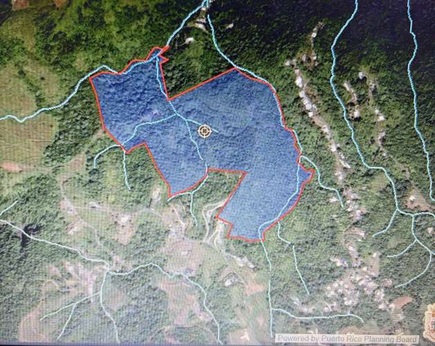 Bo. Perchas, Terreno en Morovis