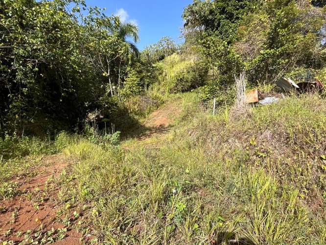 Bo. Perchas, Terreno en Morovis