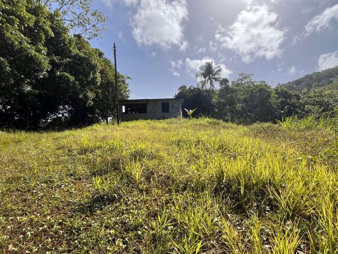 Bo. Perchas, Terreno en Morovis