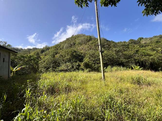 Bo. Perchas, Terreno en Morovis