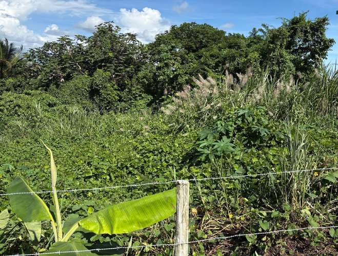 Bo. Montellano, Solar en Morovis