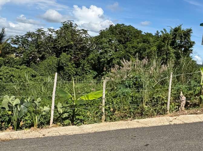 Bo. Montellano, Solar en Morovis