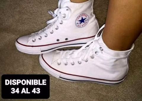 Champion Converse