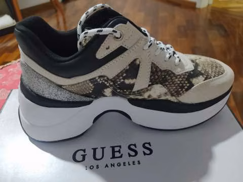 Champions Guess calce 36,5