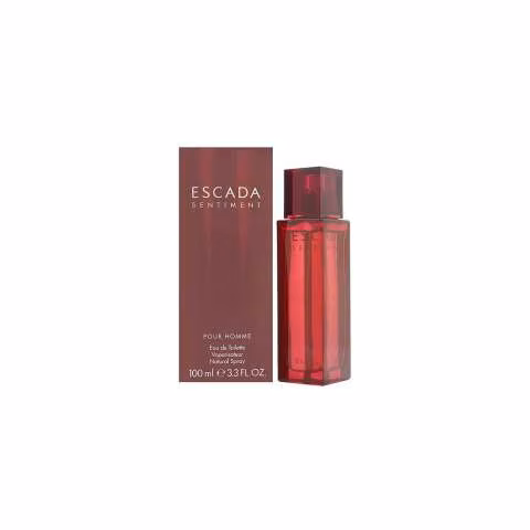 Escada sentiment masculino 100ml eau de toilette