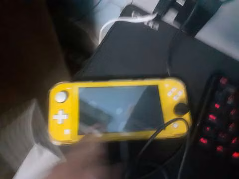 Nintendo Switch Lite