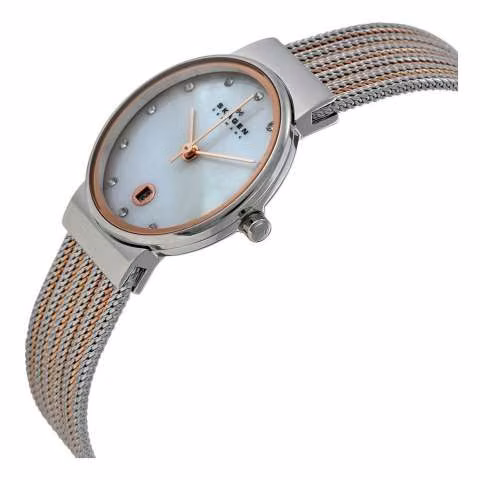 Reloj skagen 355ssrs