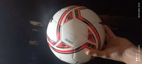 Pelota Puma