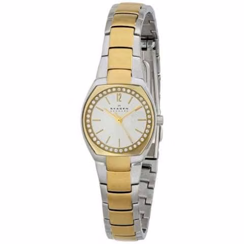Reloj skagen skw2111