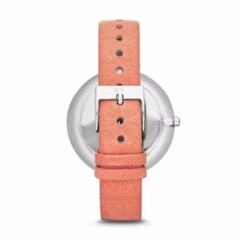 Reloj skagen skw2135