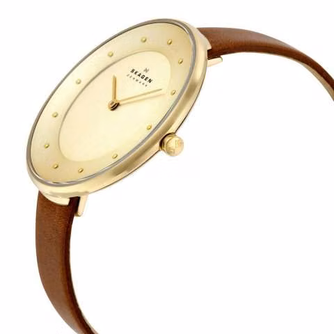 Reloj skagen skw2138