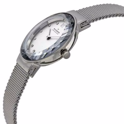 Reloj skagen 456sss - Imagen 2