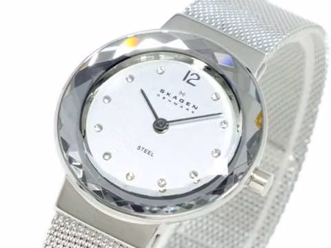 Reloj skagen 456sss