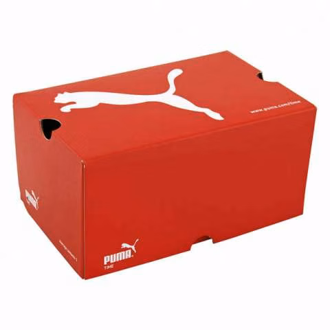 Reloj puma pu