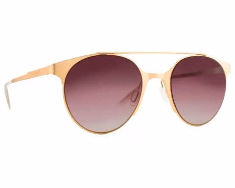 Lentes De Sol Carrera Unissex