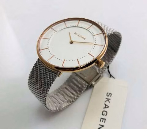 Reloj skagen skw2583 - Imagen 2