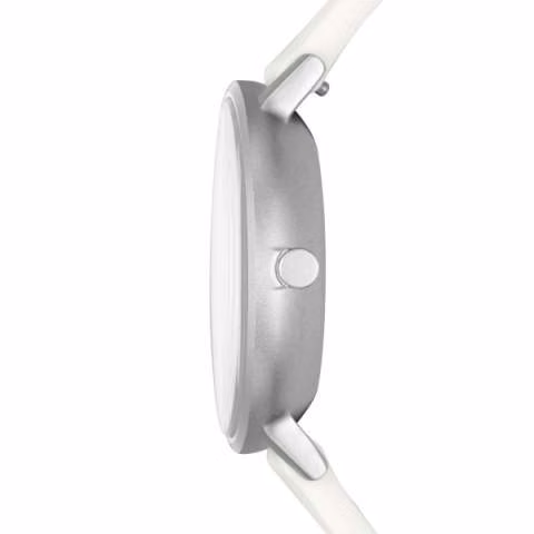 Reloj skagen skw