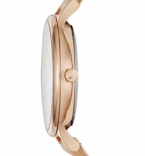 Reloj skagen skw2405
