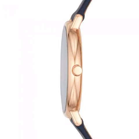 Reloj skagen skw2731 - Imagen 2