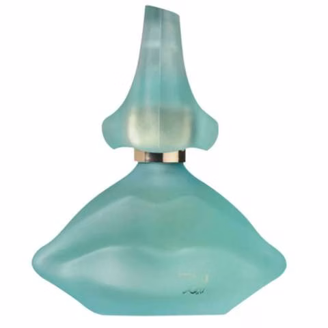 Salvador Dali Laguna eau de toilette 100ml