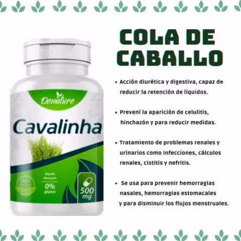 Denature cola de caballo en cápsulas de 500 mg