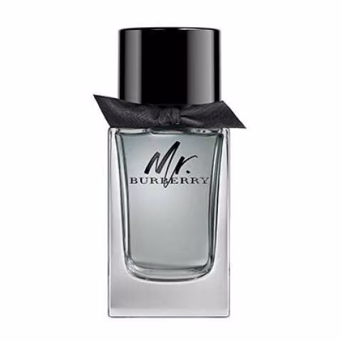Burberry Mr. Burberry EDT 100ml