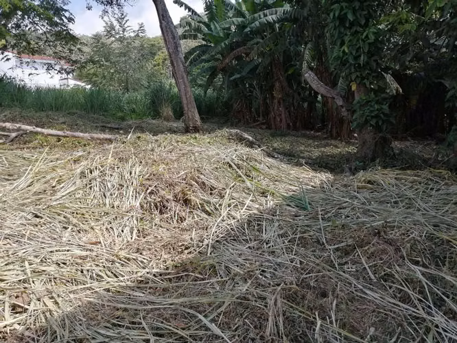 SE VENDE TERRENO CUMBRES DE CUSCATLAN EN PRIVADO, PLANO, tiene 841 varas de terreno, listo para construir - Imagen 2
