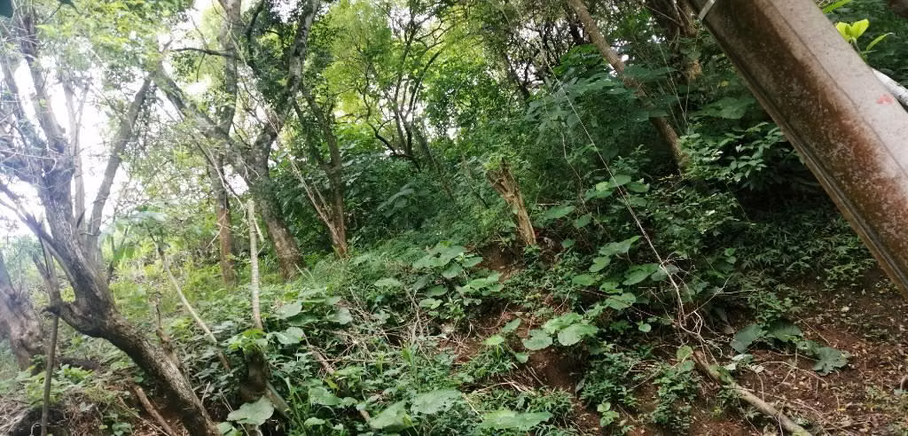 Terreno en venta  Lomas de AltaMira