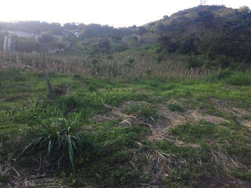 ¡SE VENDE TERRENO en Nuevo Cuscatlán! 5 Manzanas - Imagen 6
