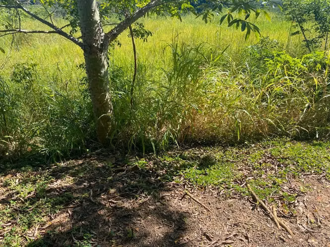VENDO TERRENO EN PRECIOSO CONDOMINIO Y CLUB EL ENCANTO/ Zaragoza. - Imagen 20