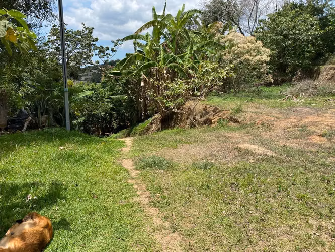 VENDO TERRENO PARA DESARROLLO URBANO EN NUEVO CUSCATLÁN - Imagen 3