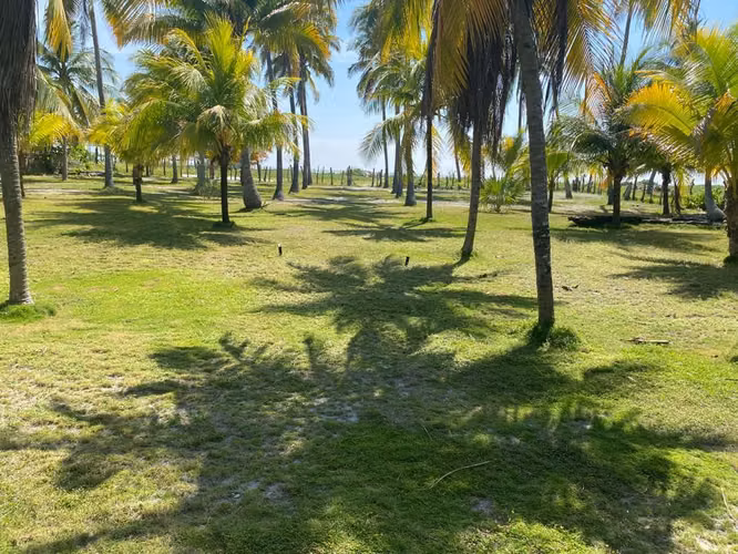 VENDO RANCHO EN COSTA DEL SOL/ PLAYA EL ZAPOTE