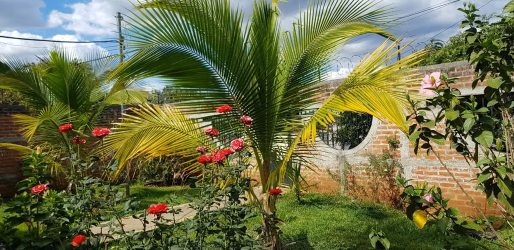 VENTA TERRENO 16,400 V2 EN CARRETERA ANTIGUA SANTA ANA-EL CONGO - Imagen 19