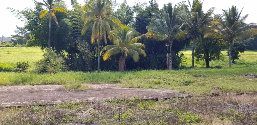VENTA  2 MANZANA Y MEDIA FRENTE PARQUE DE LA FAMILIA SANTA ANA - Imagen 17