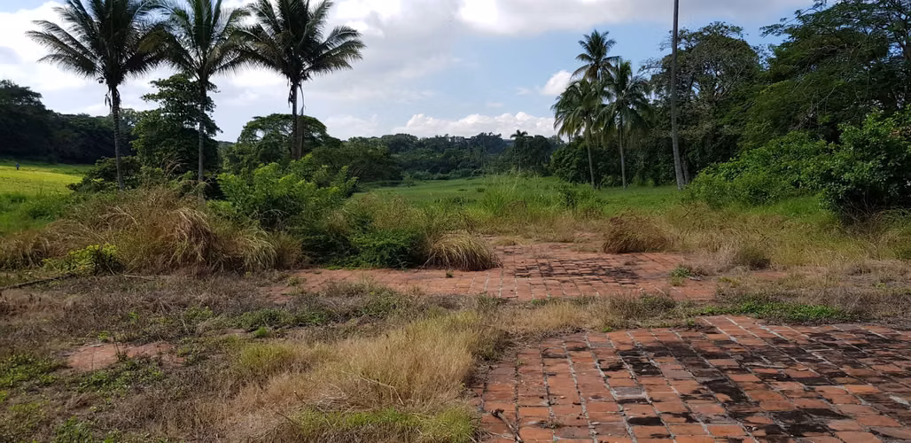 VENTA  2 MANZANA Y MEDIA FRENTE PARQUE DE LA FAMILIA SANTA ANA - Imagen 15