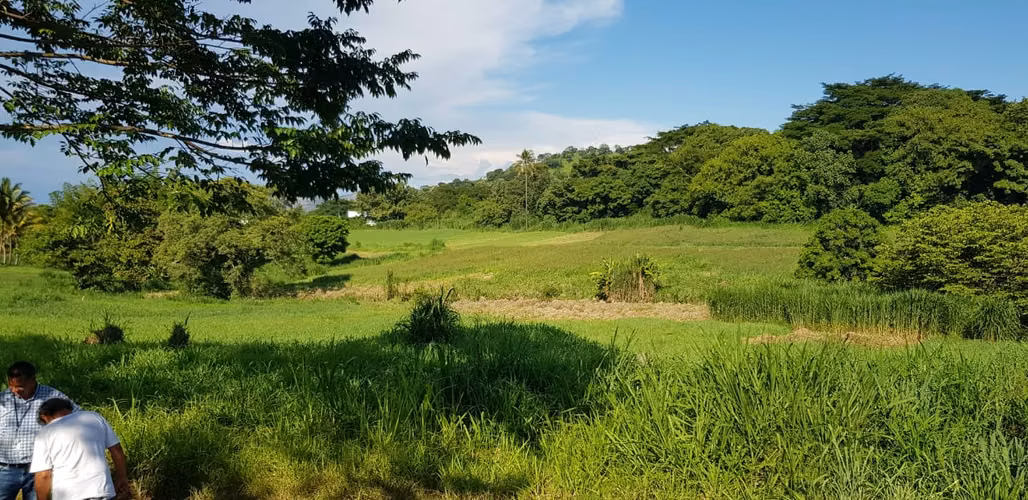 VENTA  2 MANZANA Y MEDIA FRENTE PARQUE DE LA FAMILIA SANTA ANA - Imagen 5