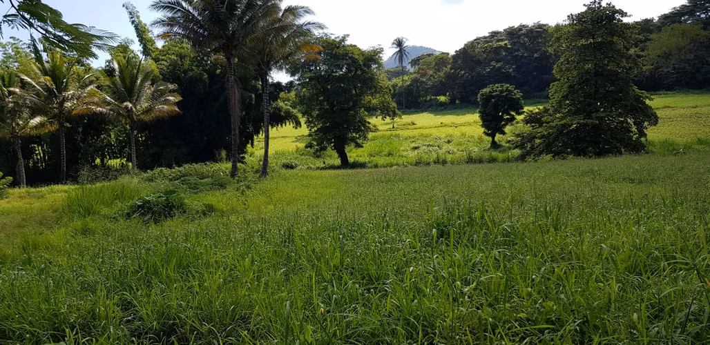 VENTA  2 MANZANA Y MEDIA FRENTE PARQUE DE LA FAMILIA SANTA ANA - Imagen 19