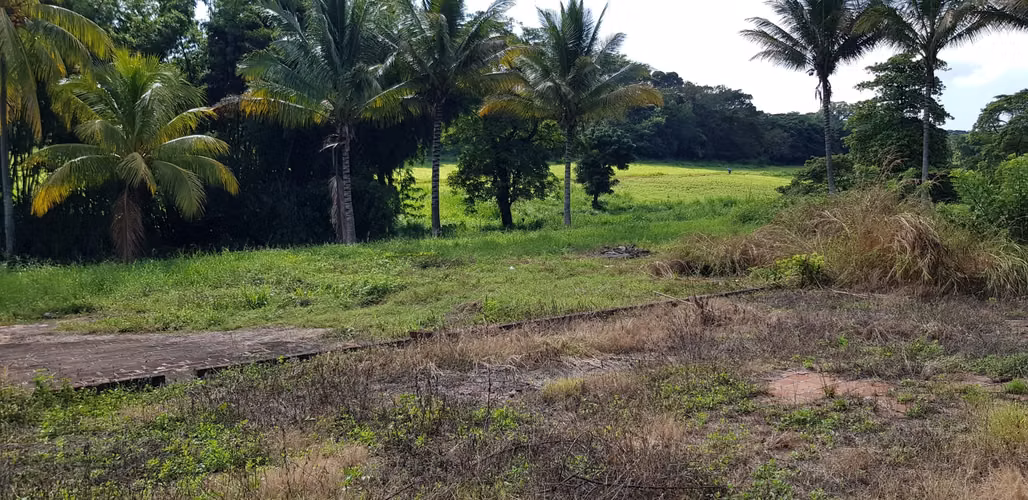 VENTA  2 MANZANA Y MEDIA FRENTE PARQUE DE LA FAMILIA SANTA ANA - Imagen 16