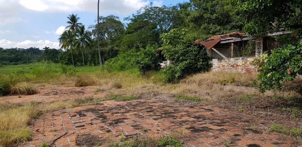 VENTA  2 MANZANA Y MEDIA FRENTE PARQUE DE LA FAMILIA SANTA ANA - Imagen 14