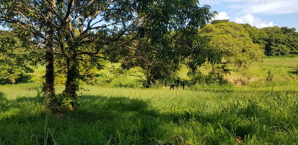 VENTA  2 MANZANA Y MEDIA FRENTE PARQUE DE LA FAMILIA SANTA ANA - Imagen 11